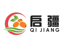 河南啟疆供應鏈有限公司
