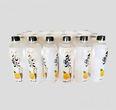 {ԴˮƿbˮLζKˮˮ480ml24