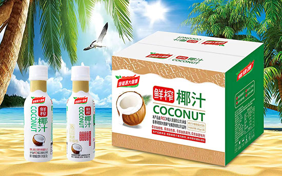 1綠健源大健康椰汁380gX15瓶